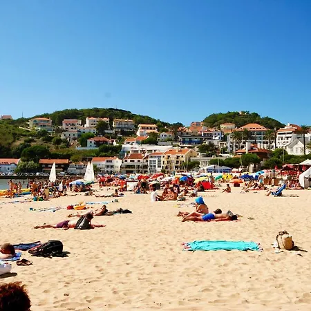 Vela - In Complex Near The *