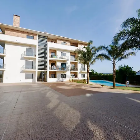 Vela - In Complex Near The *