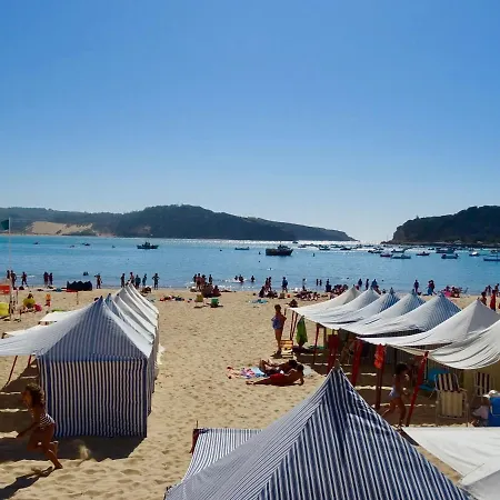 Vela - In Complex Near The