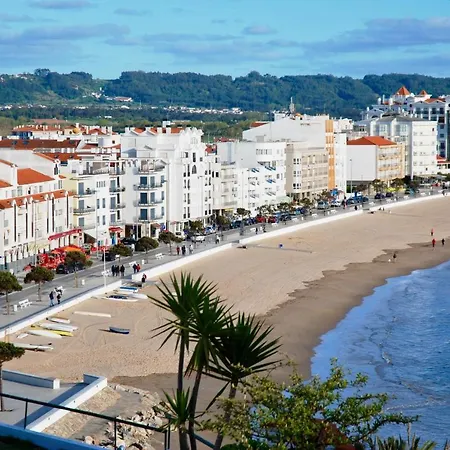 Vela - In Complex Near The * 상 마르티뇨 두 포르투