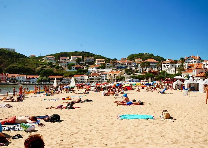 Vela - In Complex Near The *