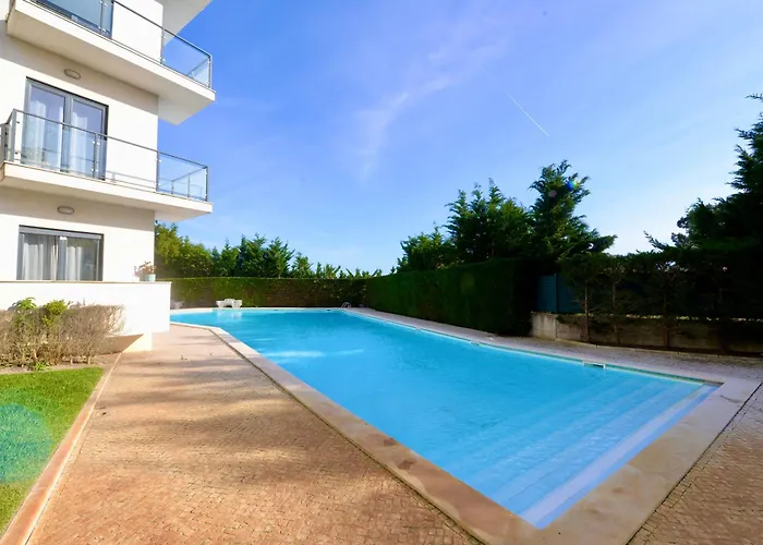 Vela - In Complex Near The